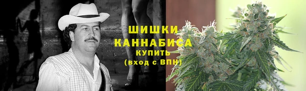 дурь Бронницы