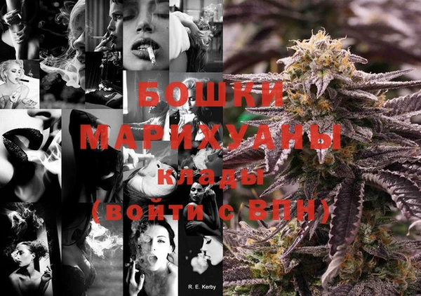 дурь Бронницы