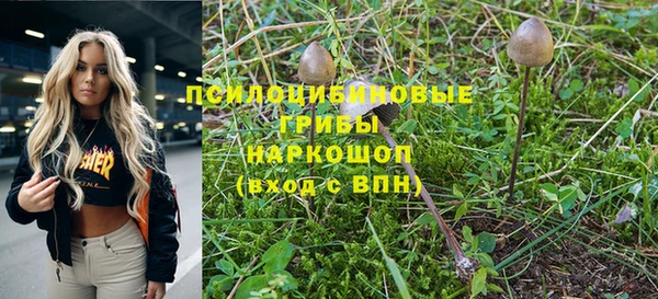 дурь Бронницы
