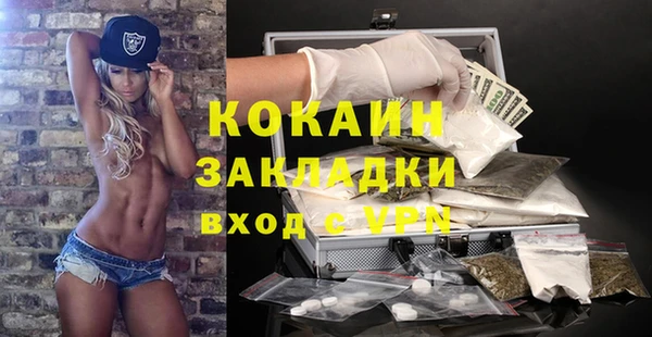 не бодяженный Бородино