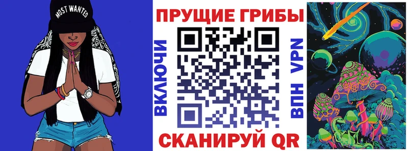 хочу наркоту  Саранск  Псилоцибиновые грибы Magic Shrooms 